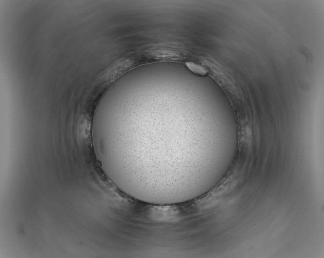 X0000111850281200908061321