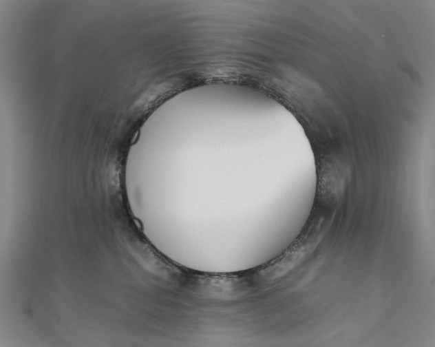 X0000111850282200908061321