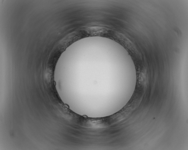 X0000111850283200908061321