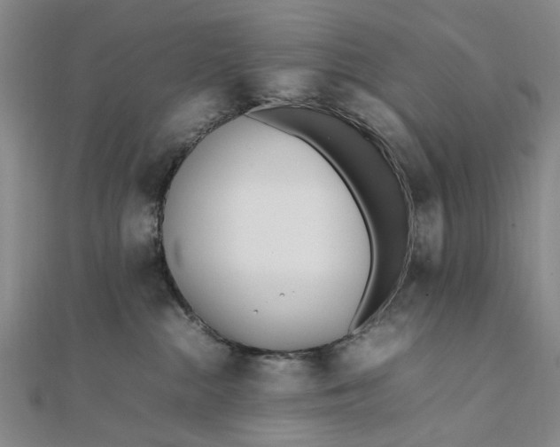 X0000111850284200908061321