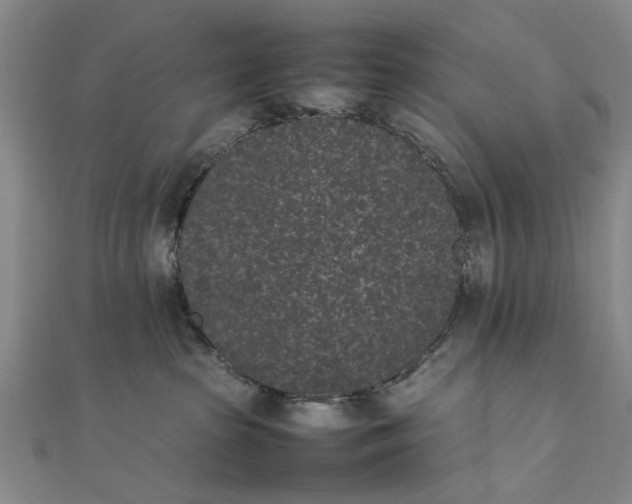 X0000111850285200908061321