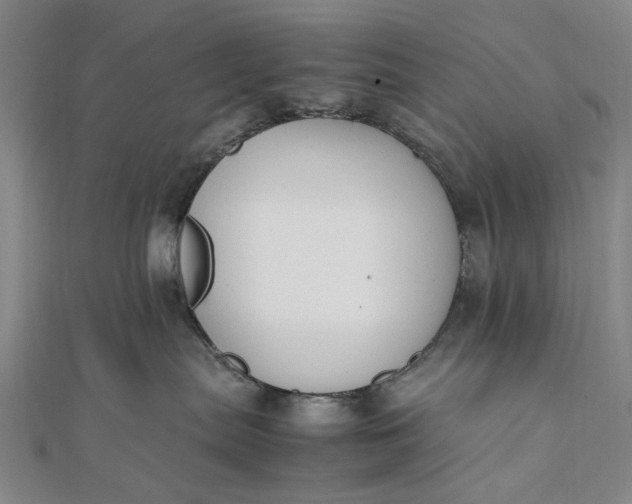 X0000111850287200908061321