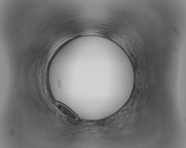 X0000111850289200908061320