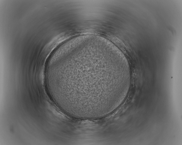 X0000111850290200908061320