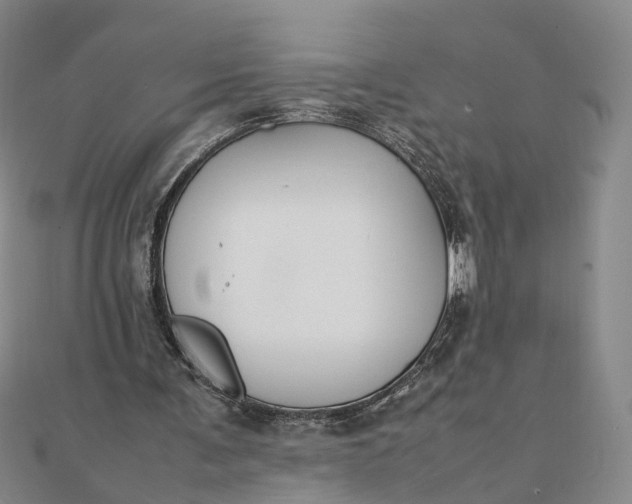 X0000111850291200908061320