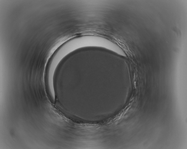 X0000111850292200908061320