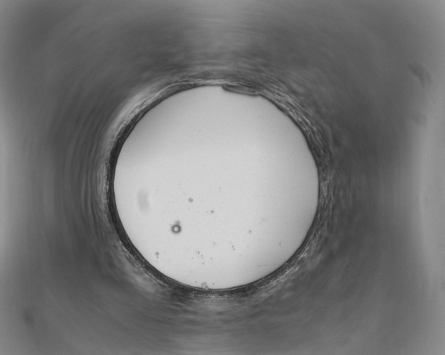 X0000111850293200908061320