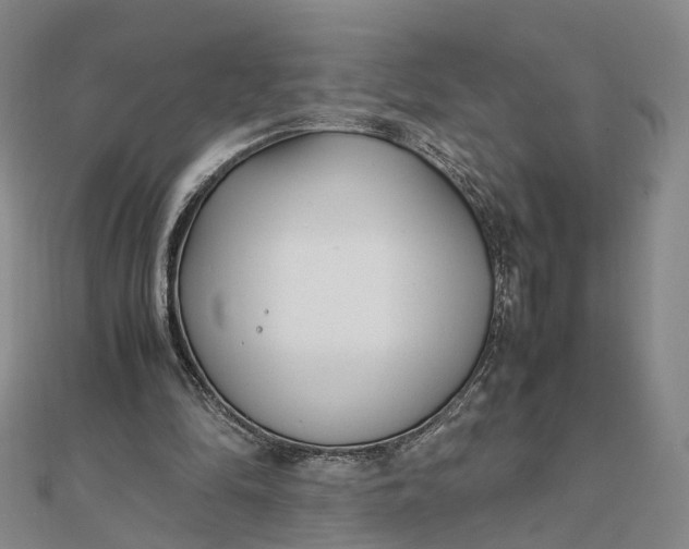 X0000111850294200908061320