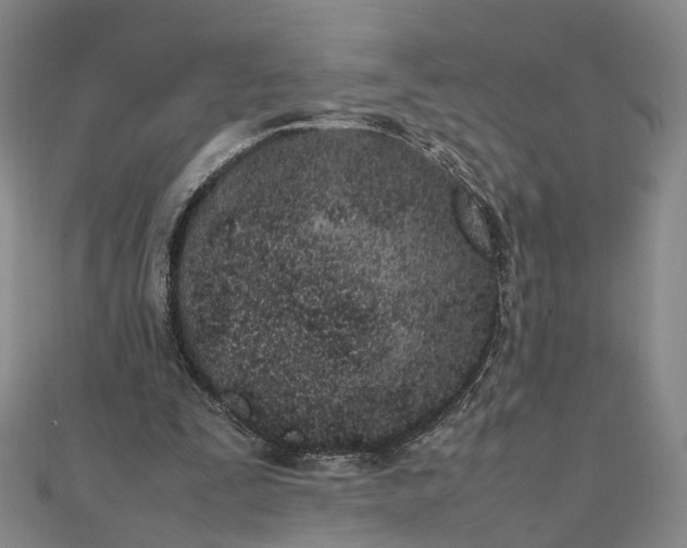 X0000111850295200908061320