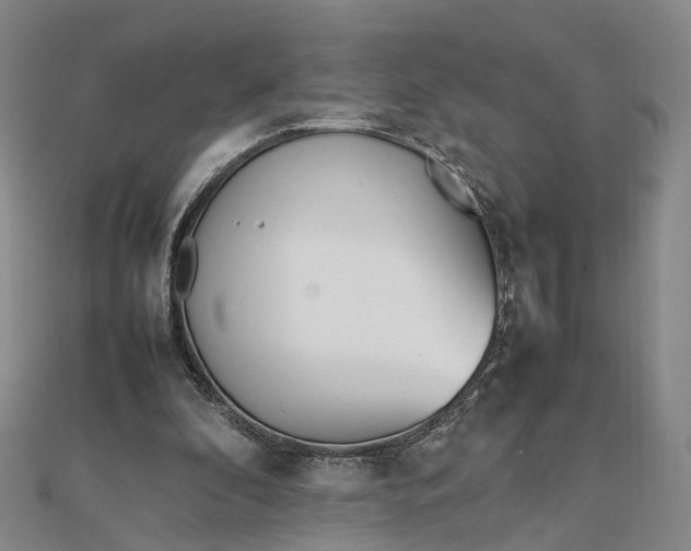 X0000111850296200908061320