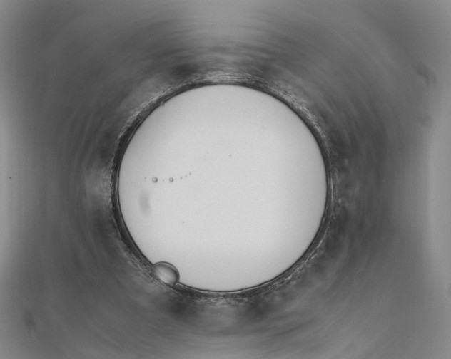 X0000111850297200908061320