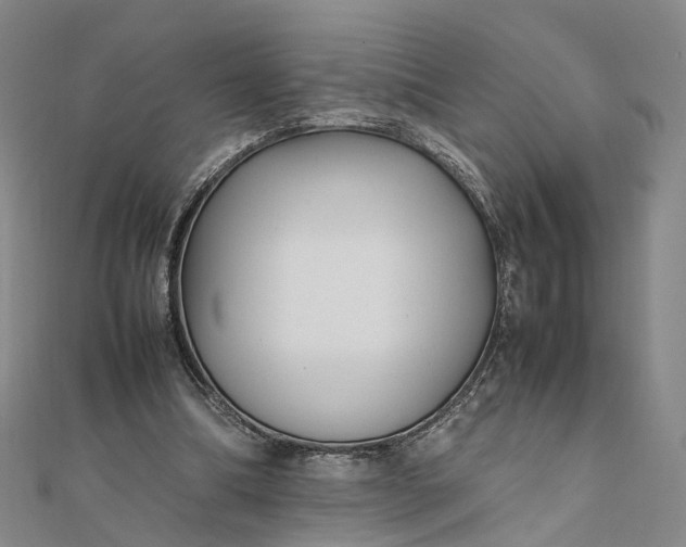 X0000111850298200908061320