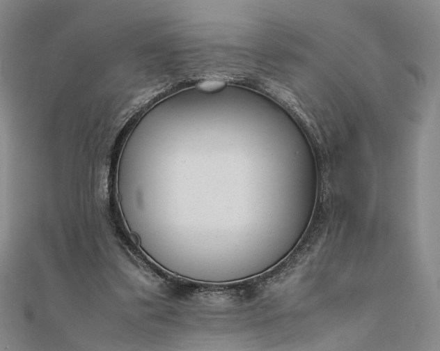 X0000111850299200908061320