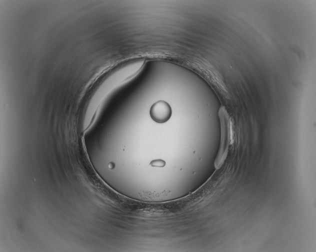 X0000111850300200908061320