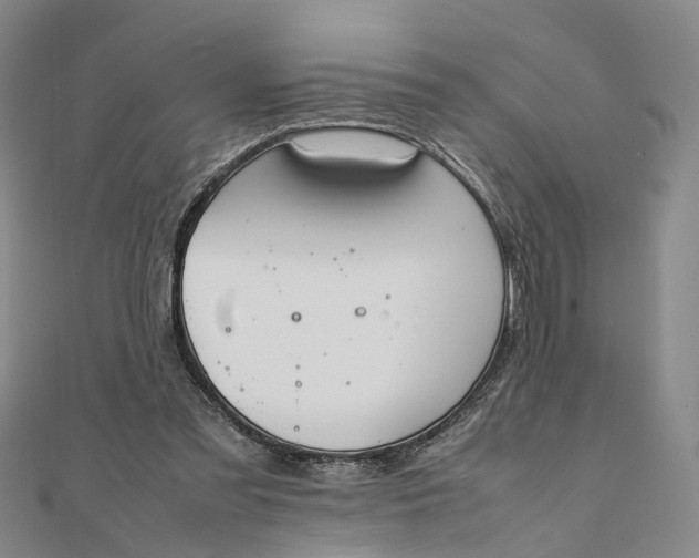 X0000111850301200908061320