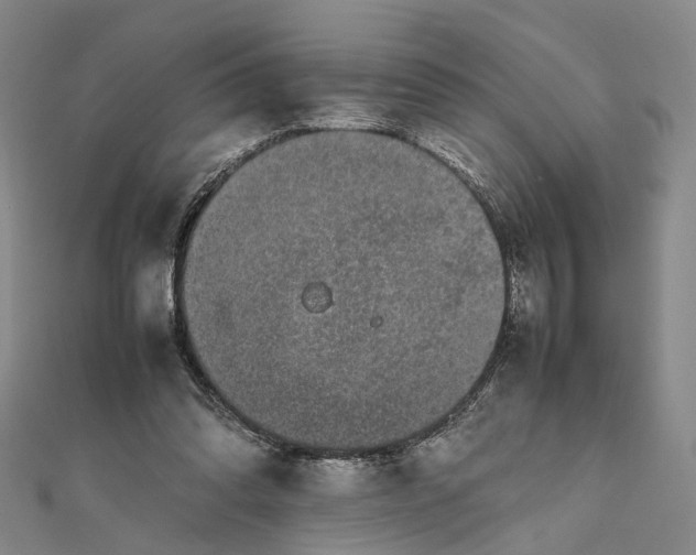 X0000111850302200908061320