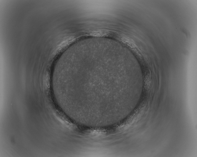 X0000111850303200908061320