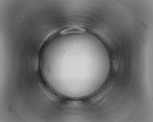 X0000111850304200908061320