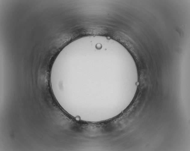 X0000111850305200908061320