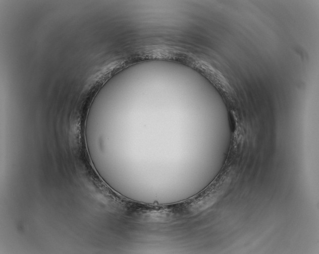 X0000111850306200908061320