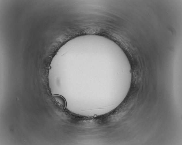 X0000111850307200908061320