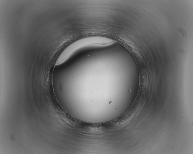 X0000111850308200908061320