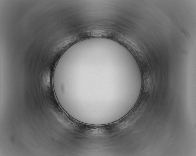 X0000111850310200908061320