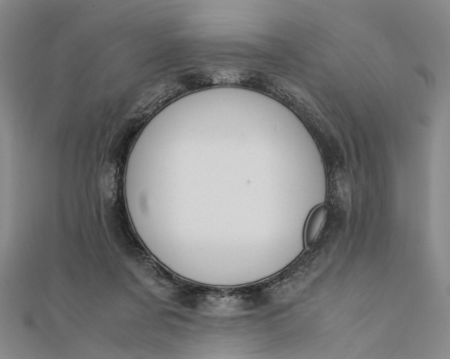 X0000111850311200908061320