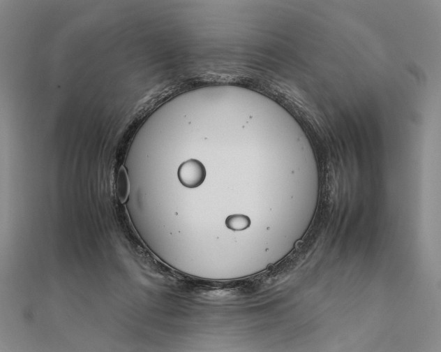 X0000111850312200908061320