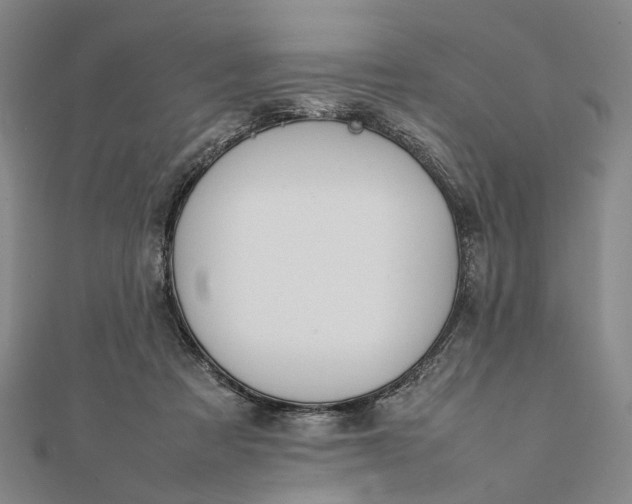 X0000111850313200908061320