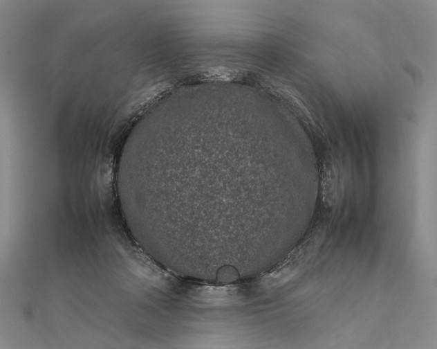 X0000111850314200908061320