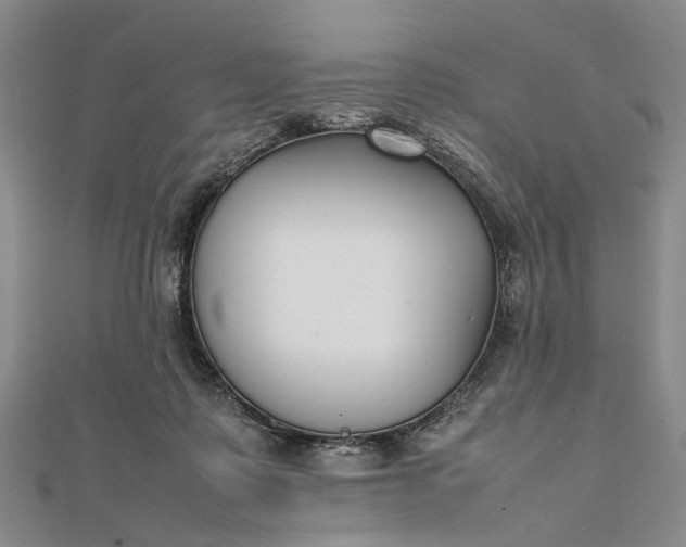 X0000111850315200908061320