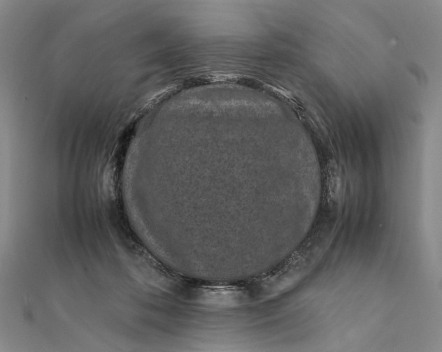 X0000111850316200908061320