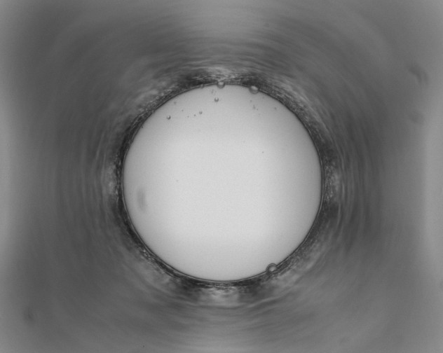 X0000111850317200908061320