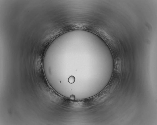 X0000111850318200908061320