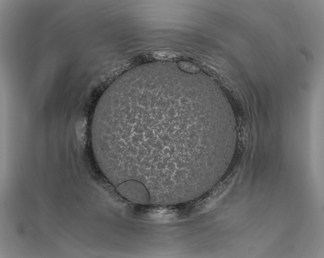 X0000111850319200908061320