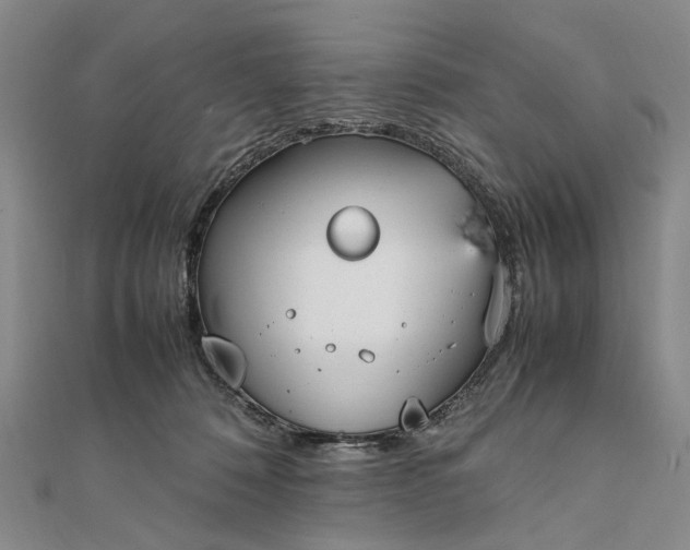 X0000111850320200908061320