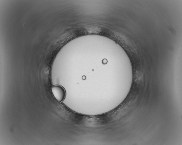 X0000111850321200908061320