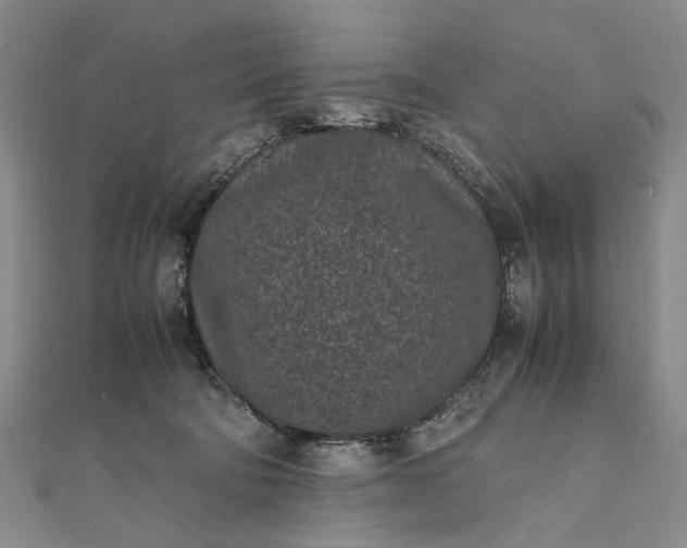 X0000111850322200908061320