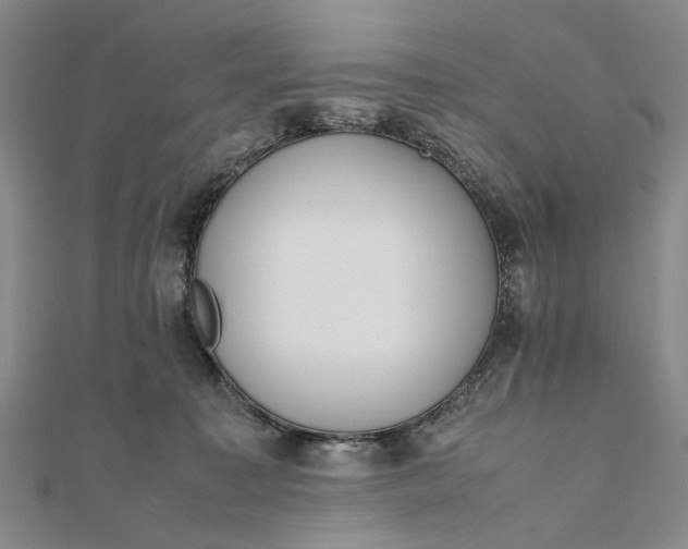 X0000111850323200908061320