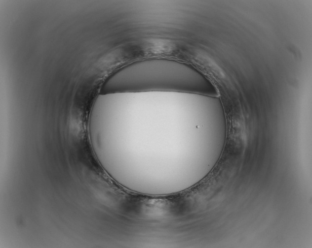 X0000111850324200908061320