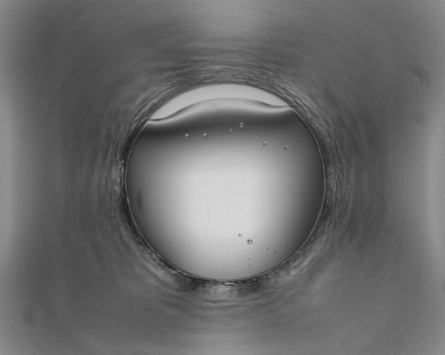 X0000111850325200908061320