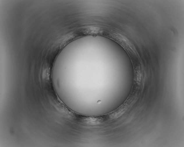 X0000111850326200908061320