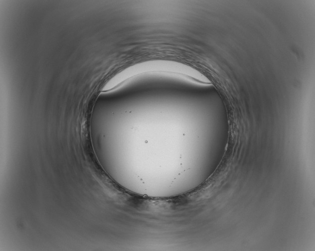 X0000111850327200908061320