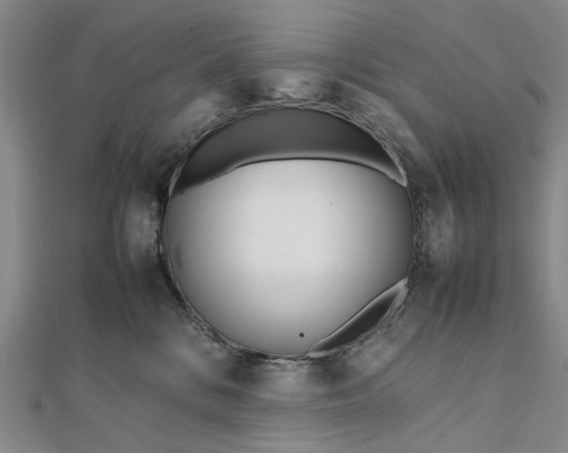 X0000111850328200908061320