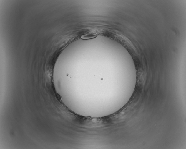 X0000111850329200908061320