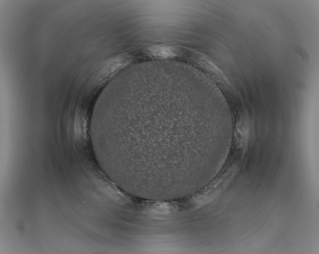 X0000111850330200908061319