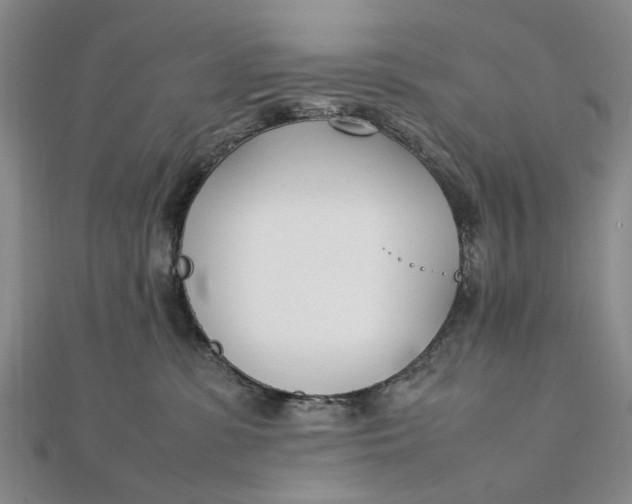 X0000111850331200908061319