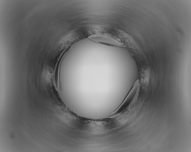 X0000111850332200908061319