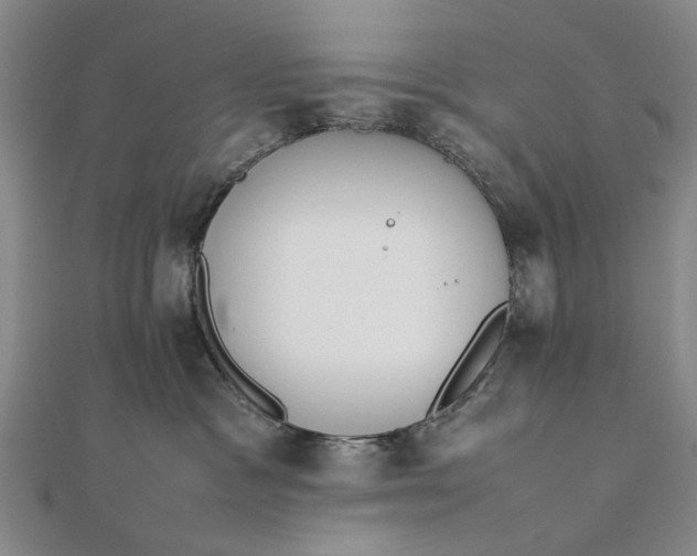 X0000111850333200908061319